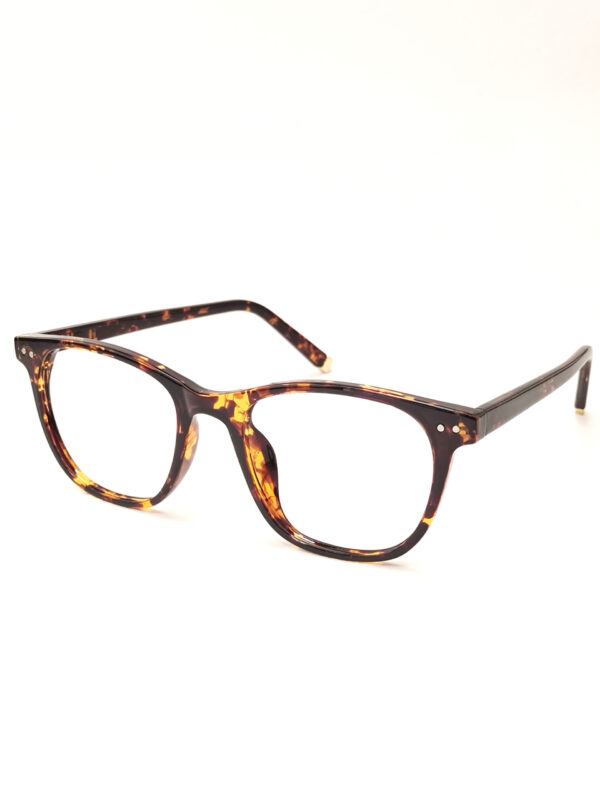 tortoise brown wayfare frame