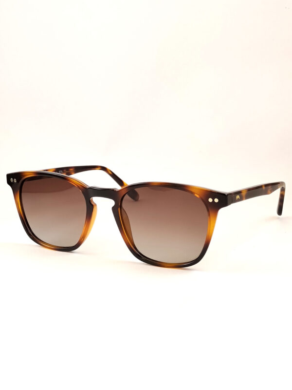 tortoise wayfarer uv protected sunglasses