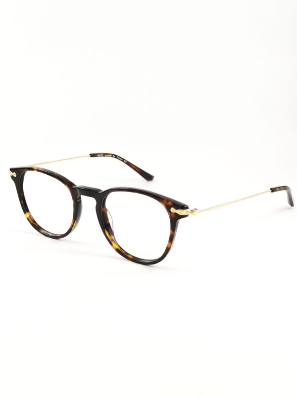 tortoise brown acetate frame